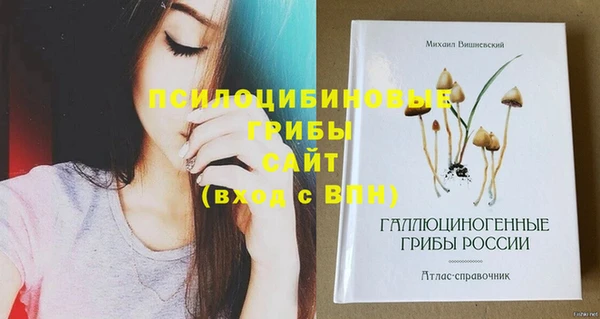 spice Бронницы