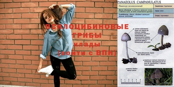 кокаин колумбия Бородино
